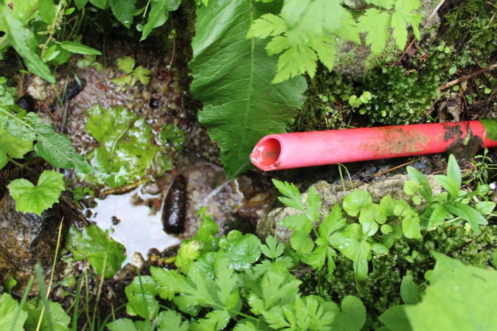 Prameň Matejkovského potoka, Ružomberok 02