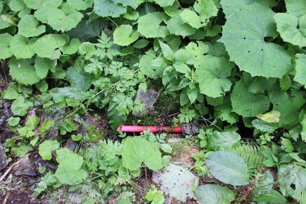 Prameň Matejkovského potoka, Ružomberok 03