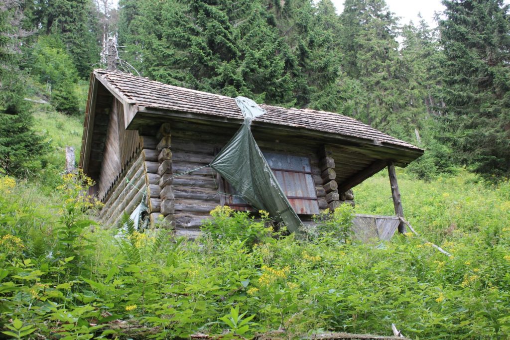 Prameň Matejkovského potoka, Ružomberok 05