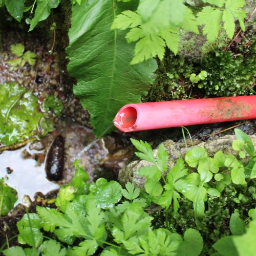 Spring of the Matejkovský creek, Ružomberok