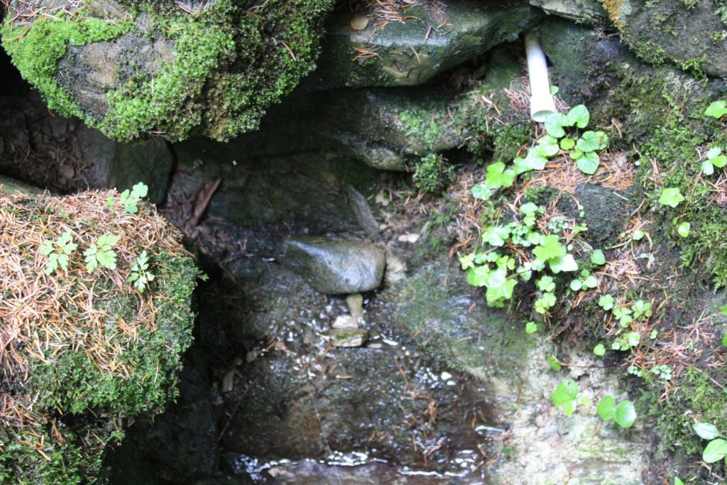 Prameň Surová, Ludrovská dolina 01