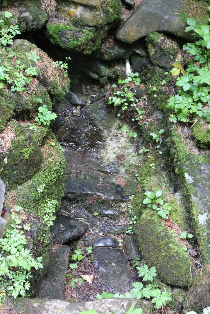 Prameň Surová, Ludrovská dolina 02