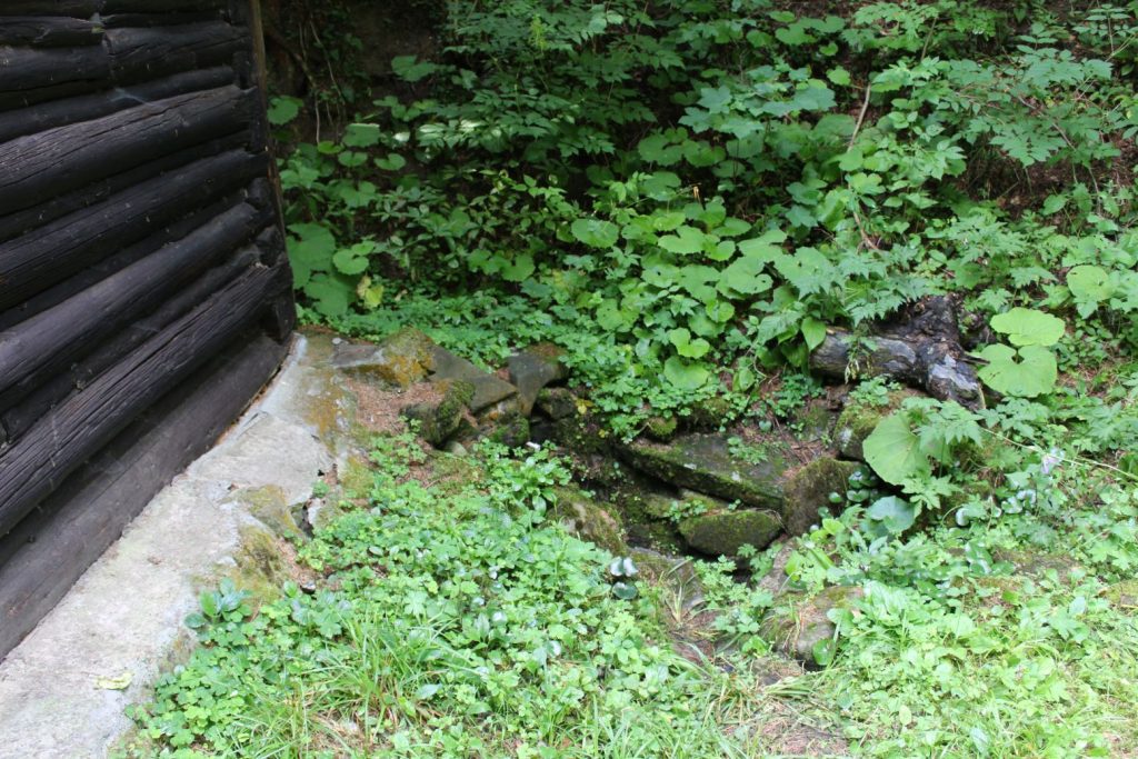 Prameň Surová, Ludrovská dolina 04