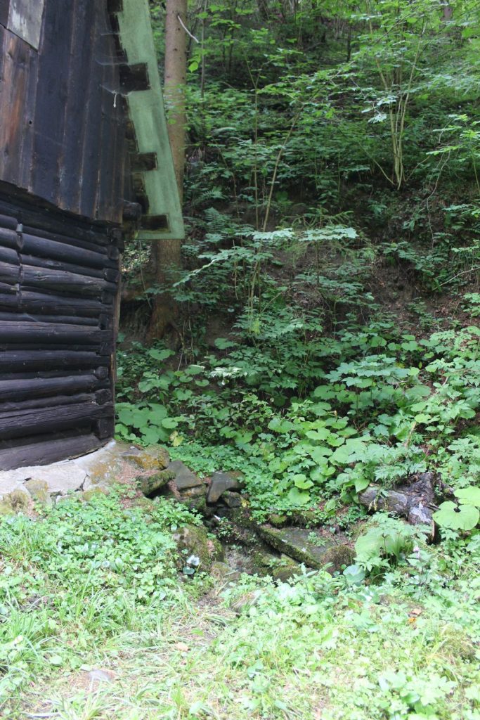 Prameň Surová, Ludrovská dolina 05