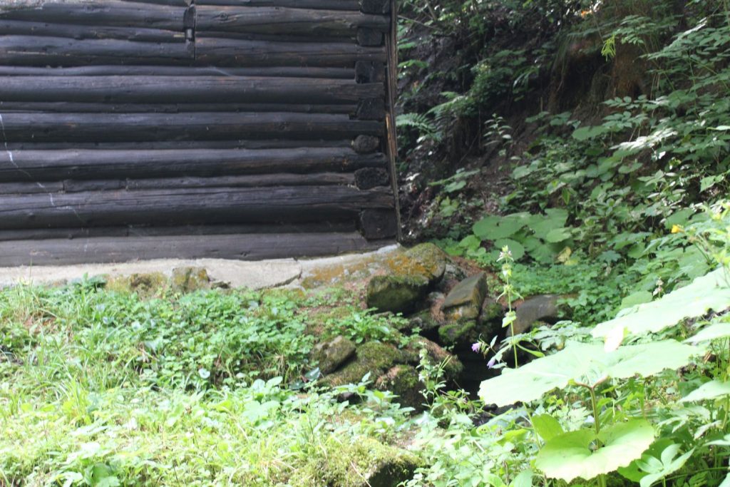 Prameň Surová, Ludrovská dolina 06