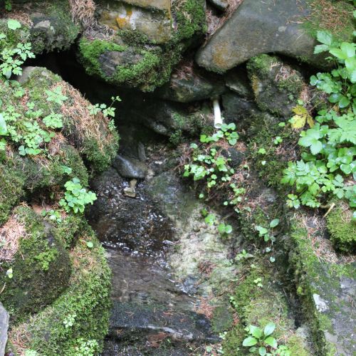 Spring Surová, Ludrovská Valley