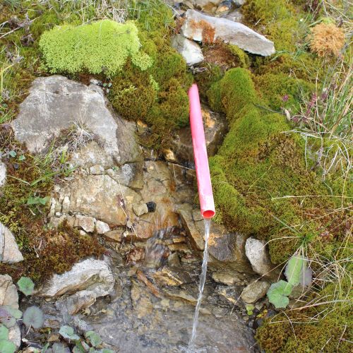 Spring at a sheep farm below Končitá, Liptovské Revúce