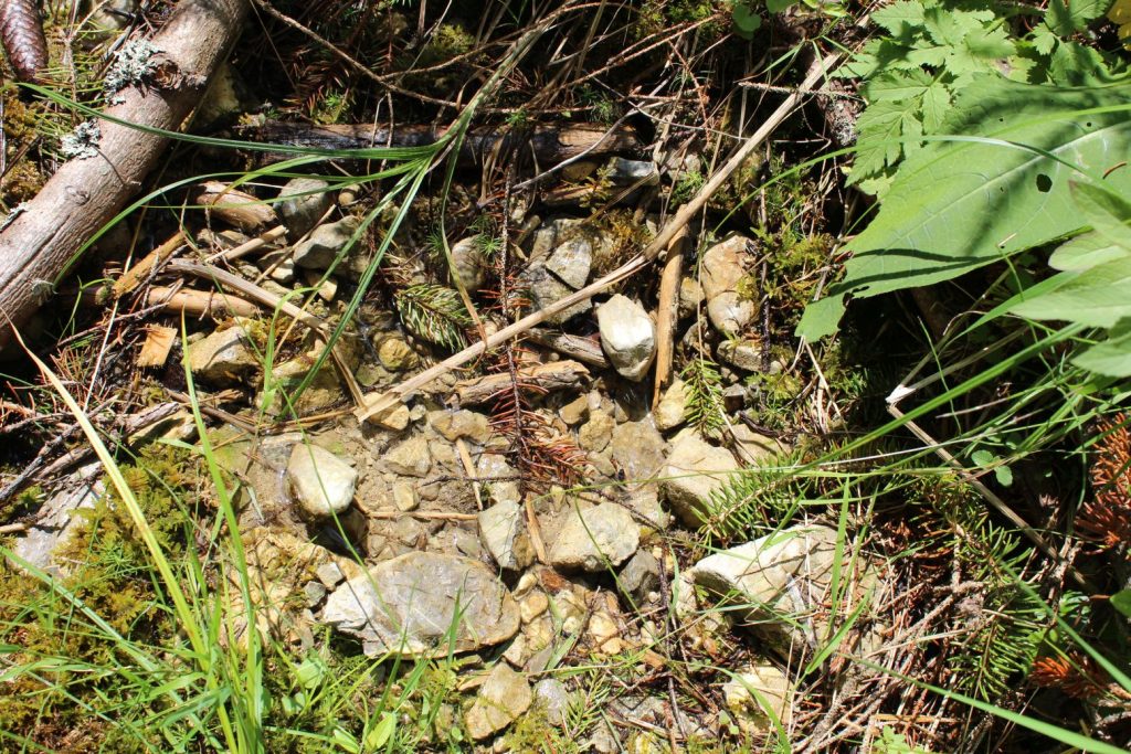 Prameň nad pamätníkom SNP v Ludrovskej doline 01 Prameň nad pamätníkom SNP v Ludrovskej doline 01