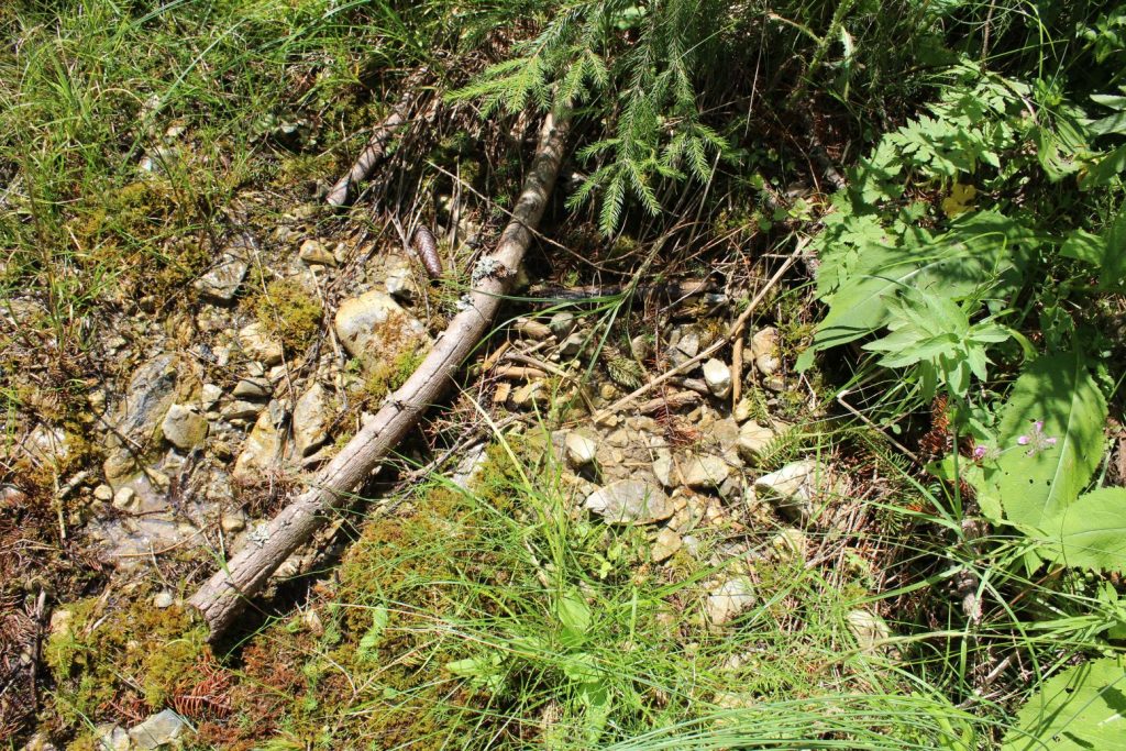 Prameň nad pamätníkom SNP v Ludrovskej doline 02 Prameň nad pamätníkom SNP v Ludrovskej doline 02