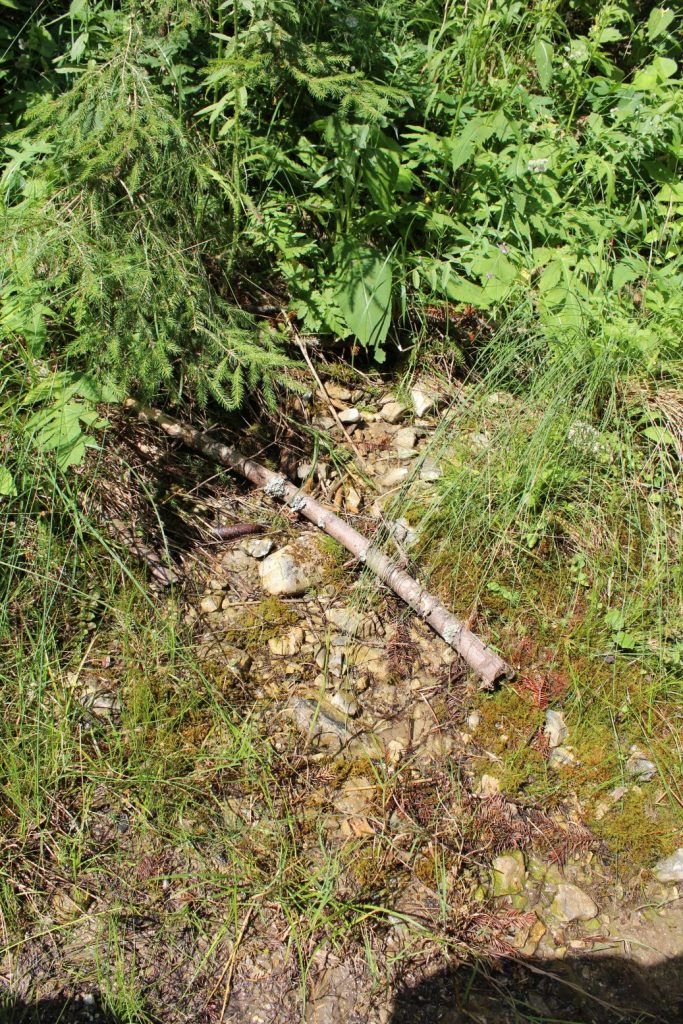 Prameň nad pamätníkom SNP v Ludrovskej doline 03 Prameň nad pamätníkom SNP v Ludrovskej doline 03