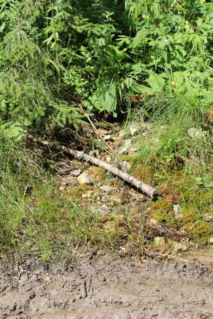 Prameň nad pamätníkom SNP v Ludrovskej doline 04 Prameň nad pamätníkom SNP v Ludrovskej doline 04