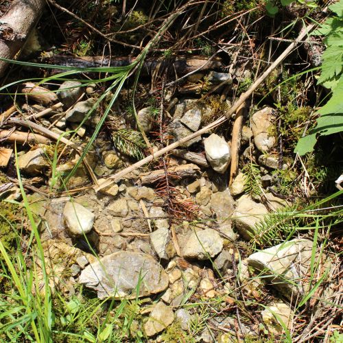 Spring above the SNU memorial in the Ludrovská Valley