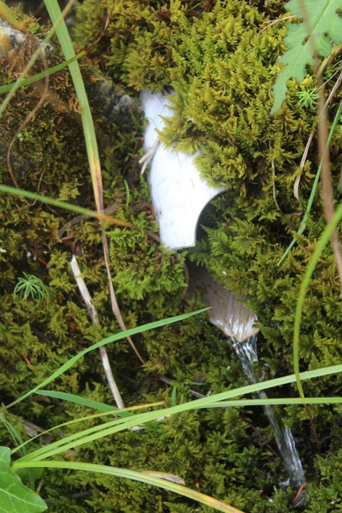 Prameň pod Jánošíkovou skalou dolný, Ludrovská dolina 01 Prameň pod Jánošíkovou skalou dolný, Ludrovská dolina 01
