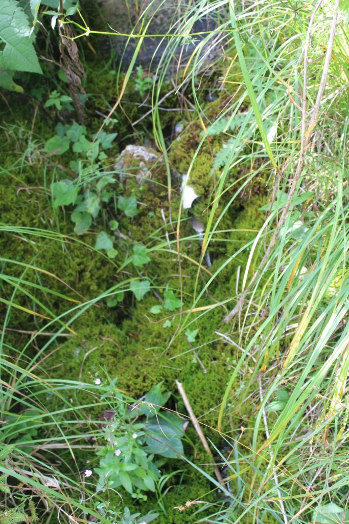 Prameň pod Jánošíkovou skalou dolný, Ludrovská dolina 02 Prameň pod Jánošíkovou skalou dolný, Ludrovská dolina 02