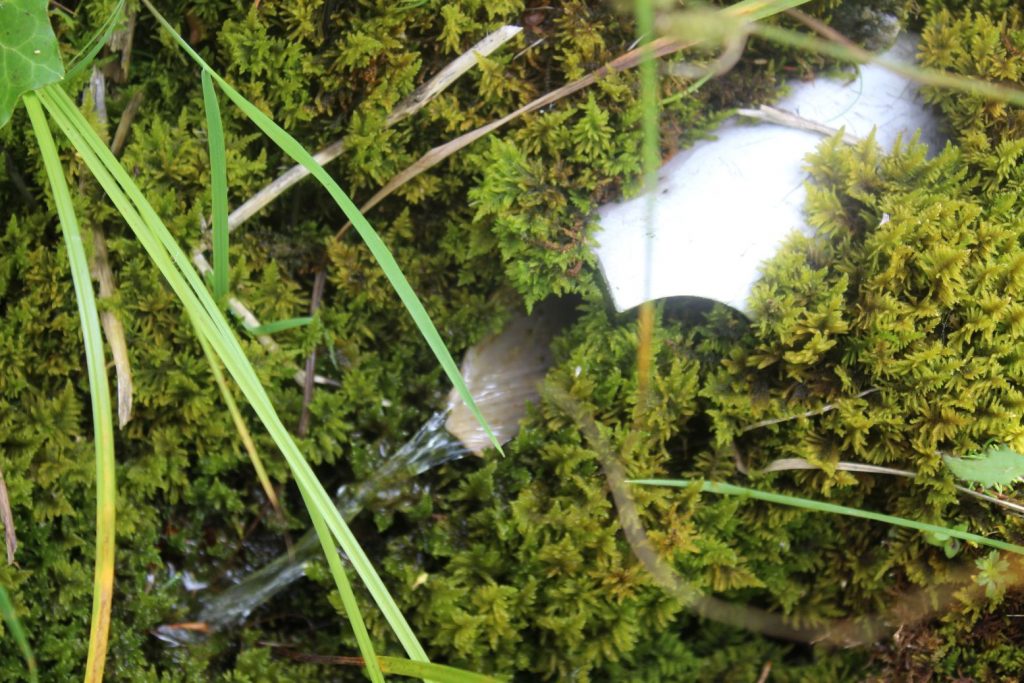 Prameň pod Jánošíkovou skalou dolný, Ludrovská dolina 03 Prameň pod Jánošíkovou skalou dolný, Ludrovská dolina 03