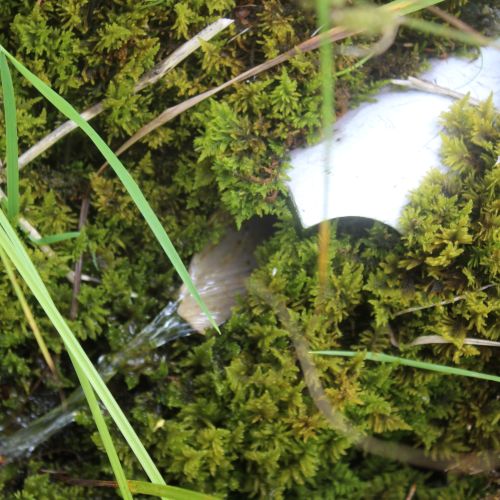 Spring below rock Jánošíkova Skala, the bottom one, Ludrovská Valley