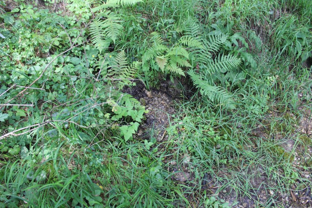 Prameň pod Jánošíkovou skalou horný, Ludrovská dolina 03 Prameň pod Jánošíkovou skalou horný, Ludrovská dolina 03