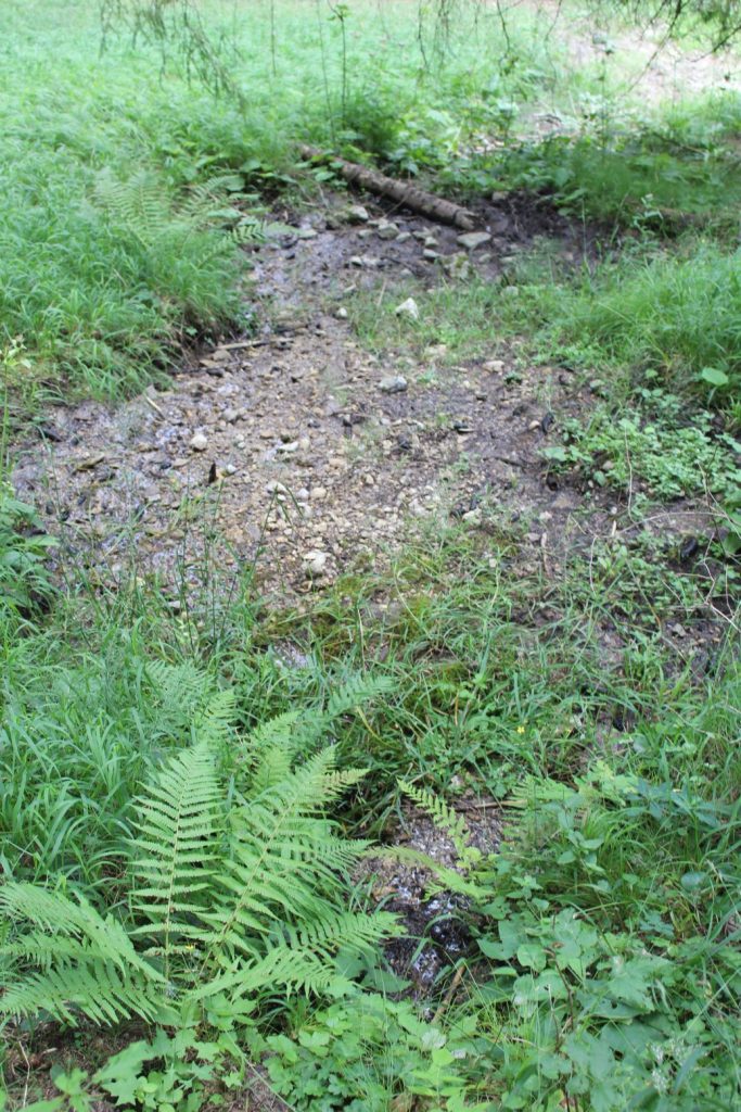 Prameň pod Jánošíkovou skalou horný, Ludrovská dolina 04 Prameň pod Jánošíkovou skalou horný, Ludrovská dolina 04