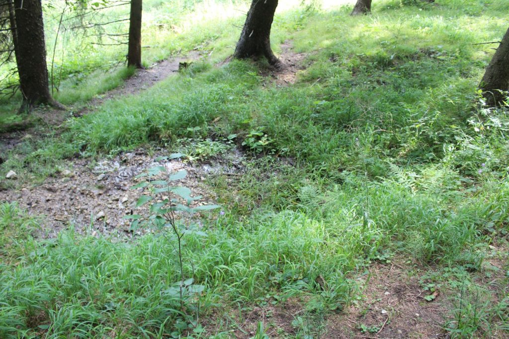 Prameň pod Jánošíkovou skalou horný, Ludrovská dolina 05 Prameň pod Jánošíkovou skalou horný, Ludrovská dolina 05