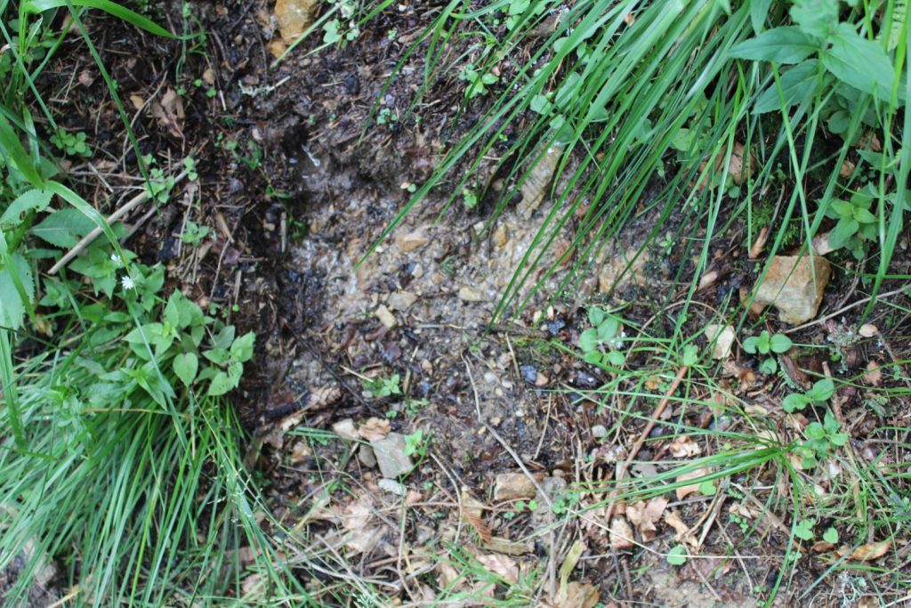 Prameň pod Predným Šiprúňom 2, Ružomberok 01