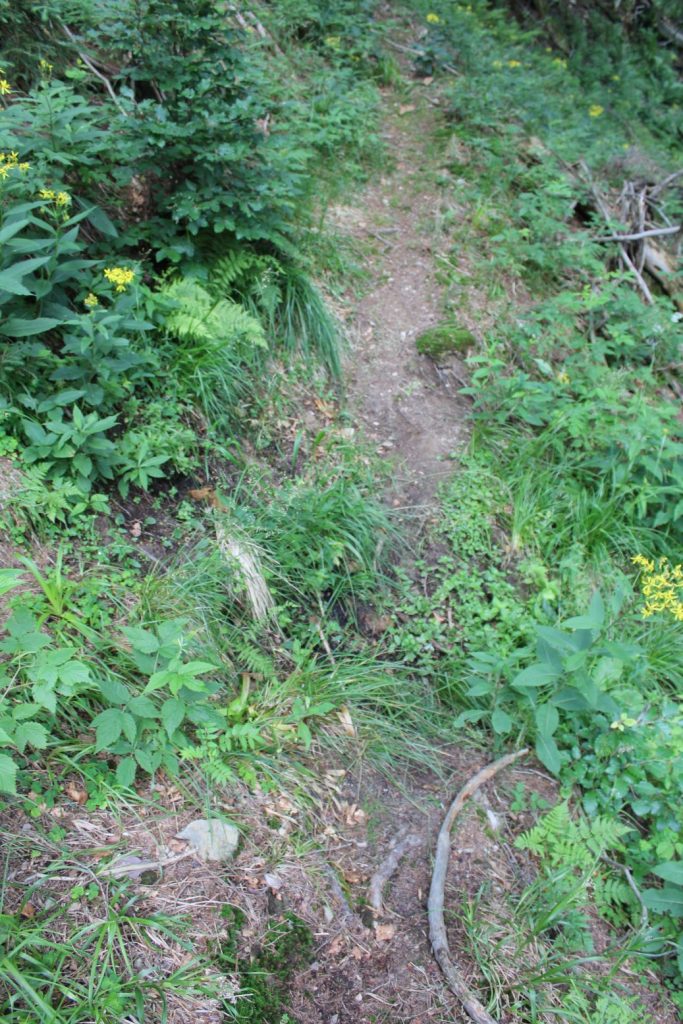 Prameň pod Predným Šiprúňom 2, Ružomberok 03