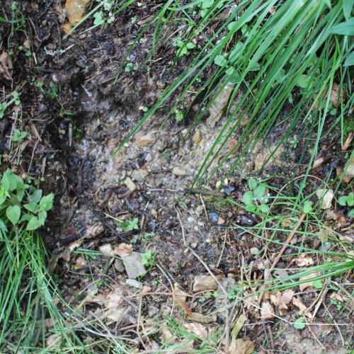 Spring below Predný Šiprúň (Front Šiprúň) 2, Ružomberok