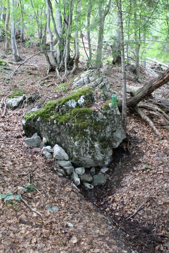 Prameň pod Skalou na Kalisku, Černová 02