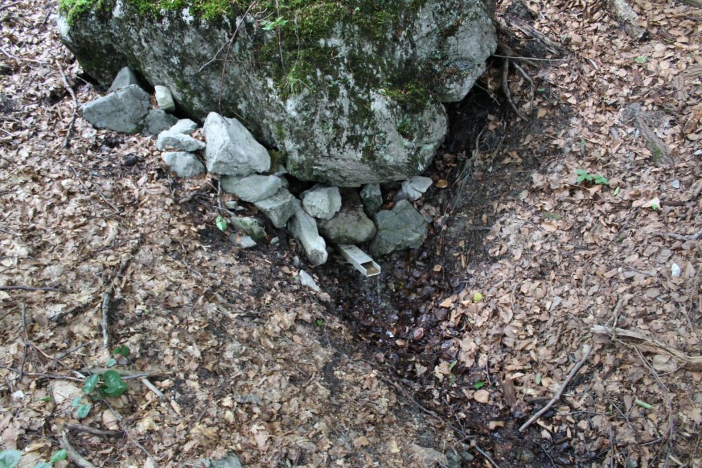 Prameň pod Skalou na Kalisku, Černová 03