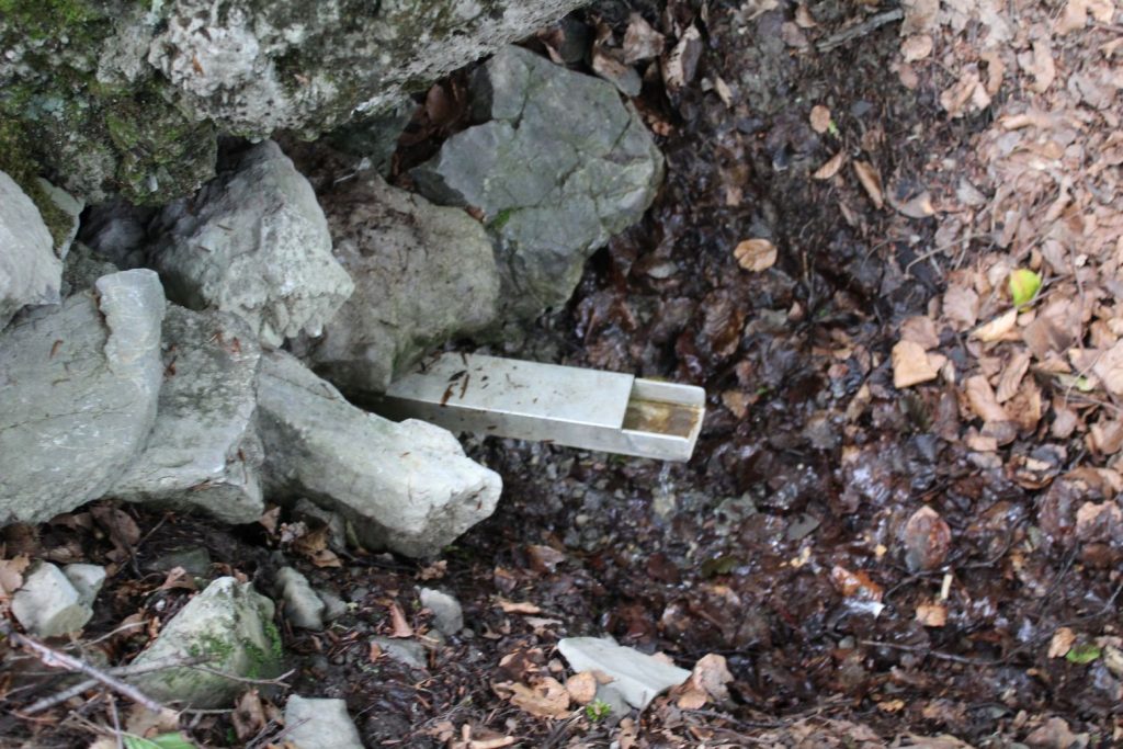 Prameň pod Skalou na Kalisku, Černová 04