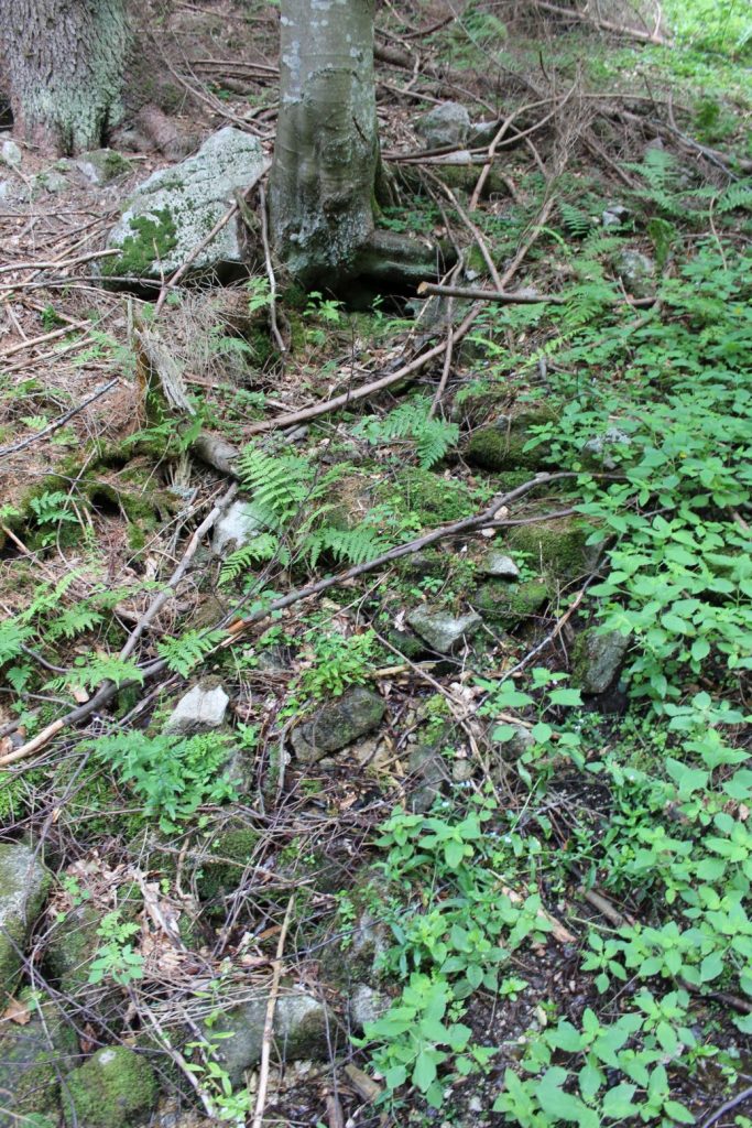 Prameň pri Matejkovskom potoku, Ružomberok – Nižné Matejkovo 02 Prameň pri Matejkovskom potoku, Ružomberok – Nižné Matejkovo 02