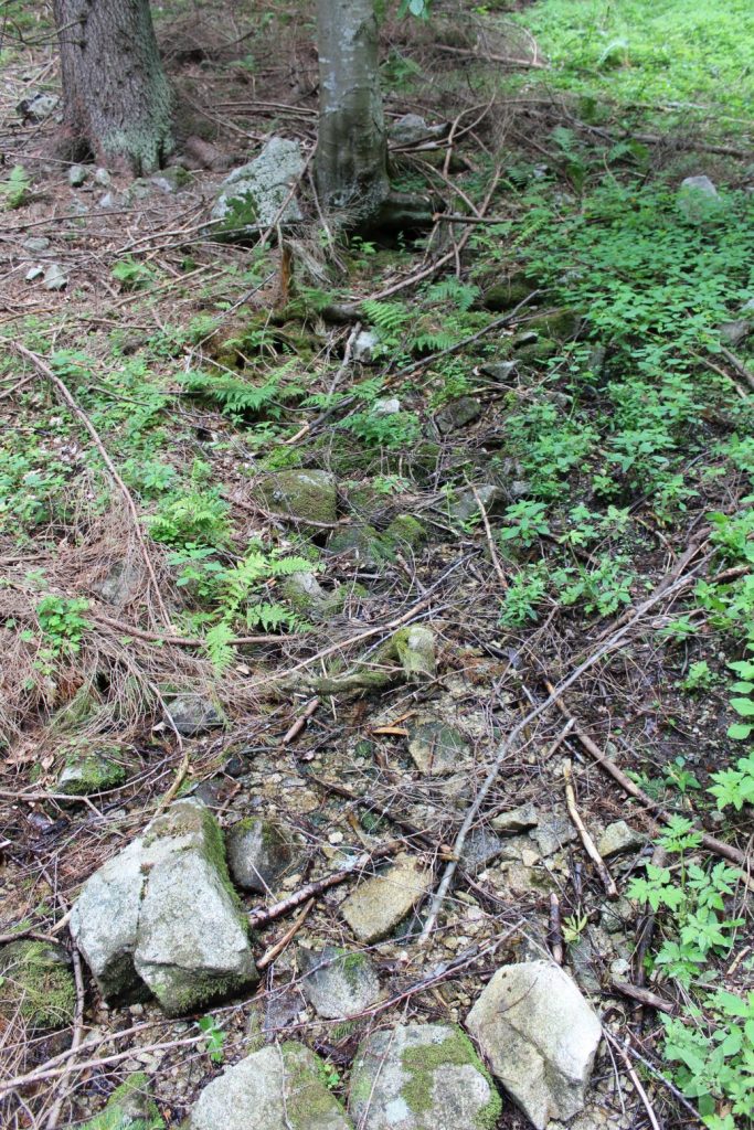 Prameň pri Matejkovskom potoku, Ružomberok – Nižné Matejkovo 03 Prameň pri Matejkovskom potoku, Ružomberok – Nižné Matejkovo 03