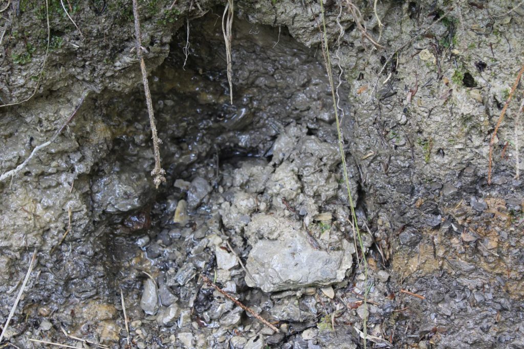 Prameň v Droždivej dolinke ľavý, Ludrovská dolina 01 Prameň v Droždivej dolinke ľavý, Ludrovská dolina 01