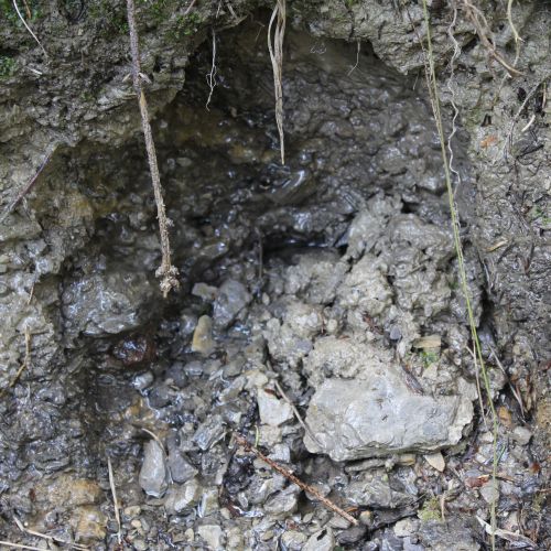 Spring in the Droždivá Valley, the left one, Ludrovská Valley