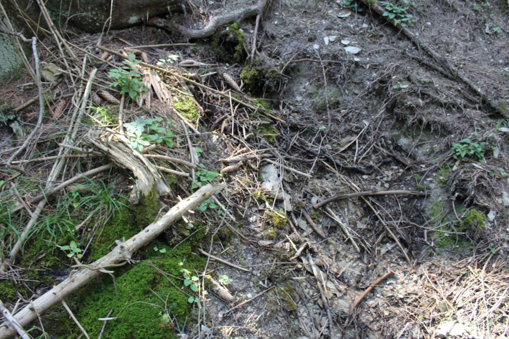 Prameň v Droždivej dolinke pravý, Ludrovská dolina 02