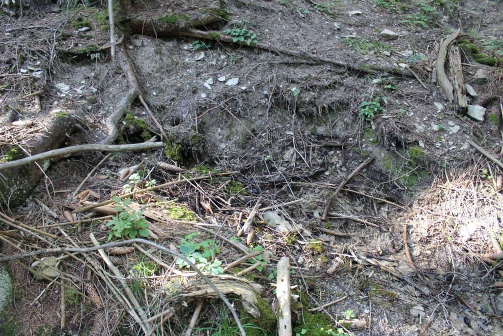 Prameň v Droždivej dolinke pravý, Ludrovská dolina 03