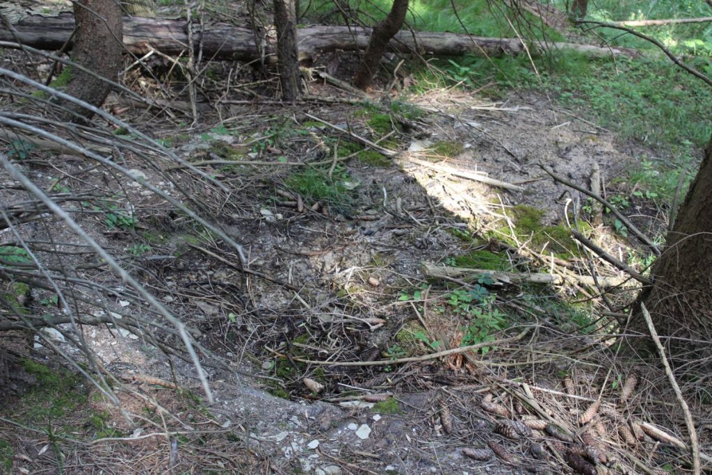 Prameň v Droždivej dolinke pravý, Ludrovská dolina 05