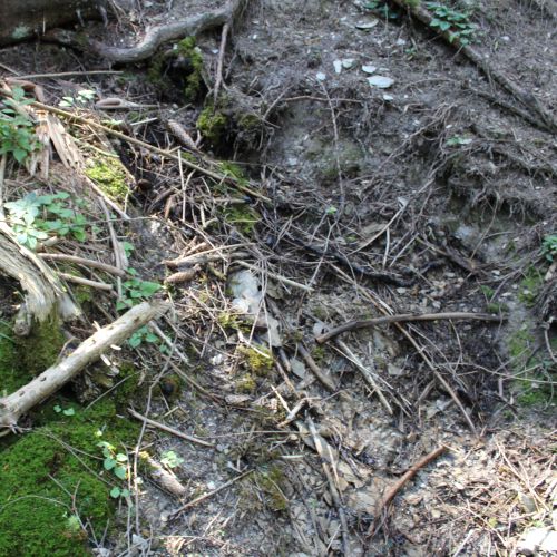 Spring in the Droždivá Valley, the right one, Ludrovská Valley
