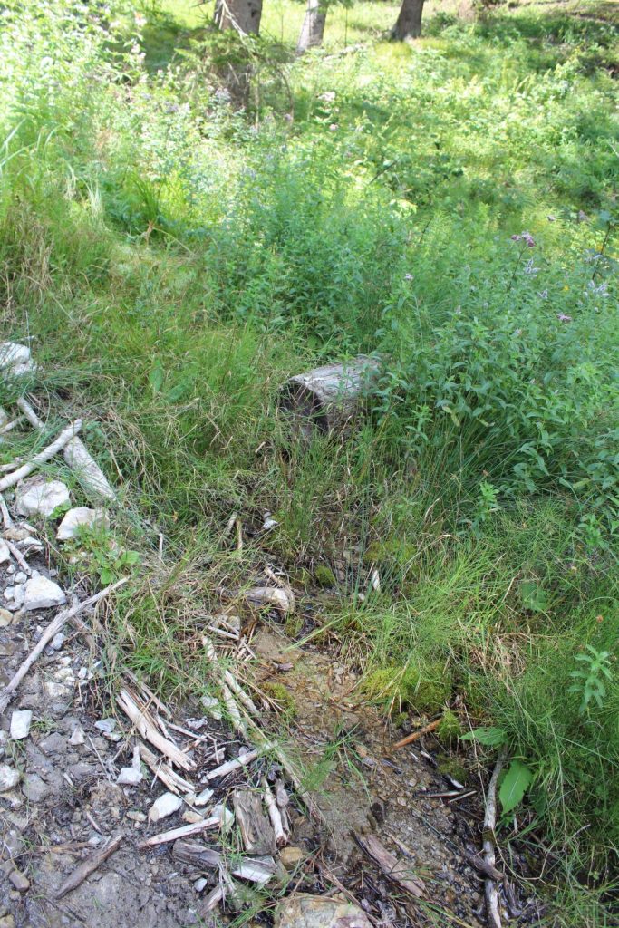 Prameň v Droždivej dolinke vpravo nad pamätníkom SNP, Ludrovská dolina 03 Prameň v Droždivej dolinke vpravo nad pamätníkom SNP, Ludrovská dolina 03