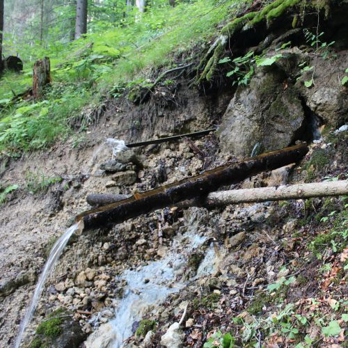 Spring at Za Makovicou, above Hučiaky