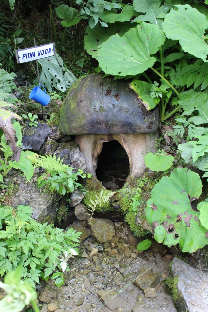 Studnička Dobrá voda spod Borovej, Ludrovská dolina 01