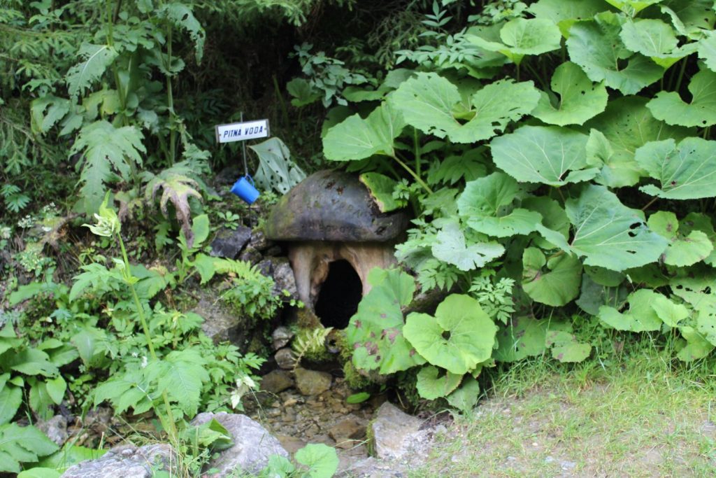 Studnička Dobrá voda spod Borovej, Ludrovská dolina 02
