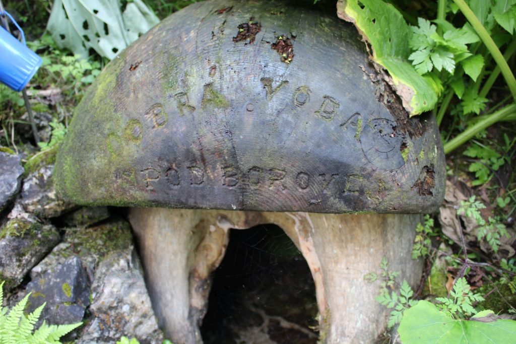 Studnička Dobrá voda spod Borovej, Ludrovská dolina 04