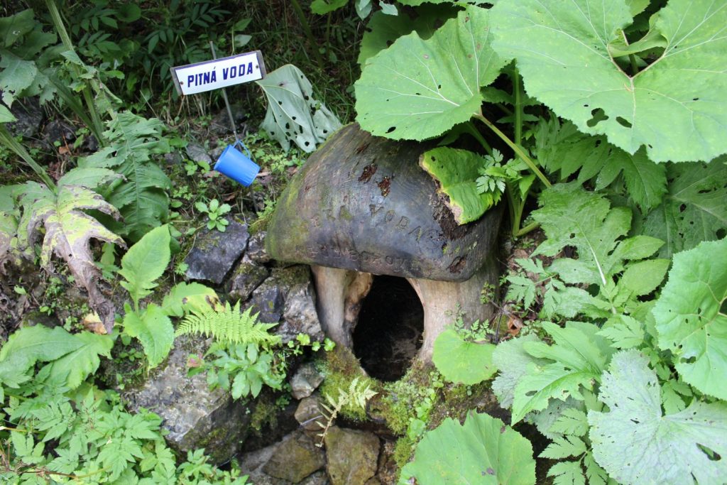 Studnička Dobrá voda spod Borovej, Ludrovská dolina 05