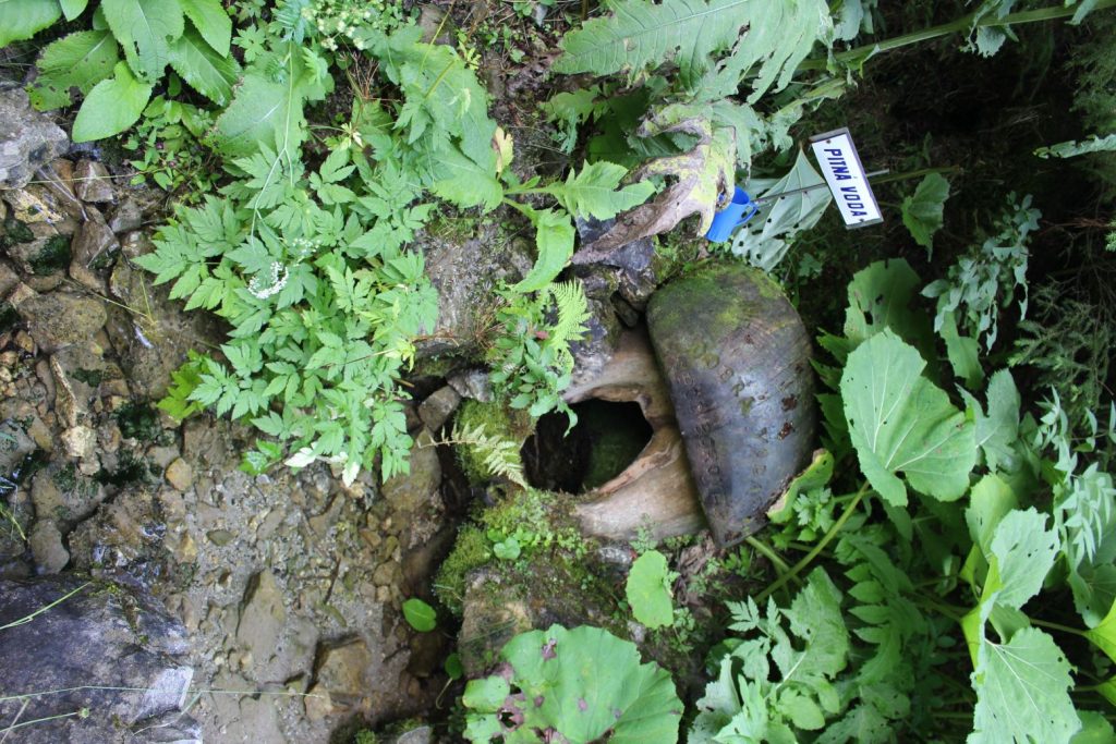 Studnička Dobrá voda spod Borovej, Ludrovská dolina 06