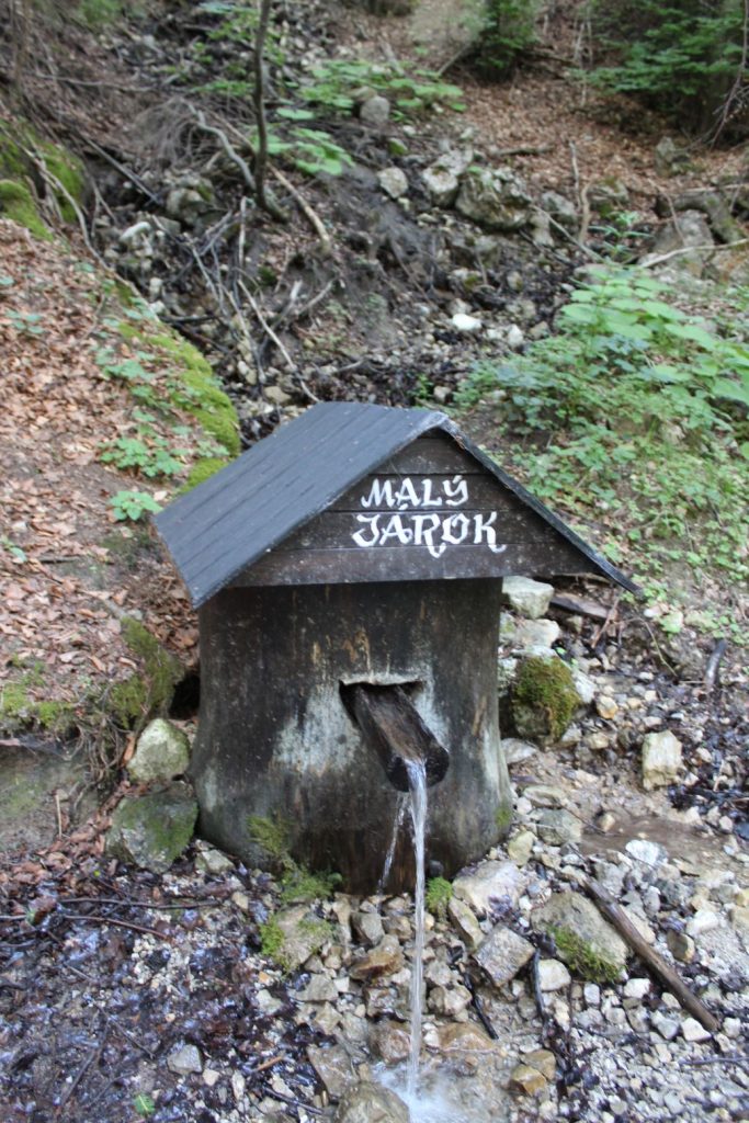 Studnička Malý jarok, Černová 01