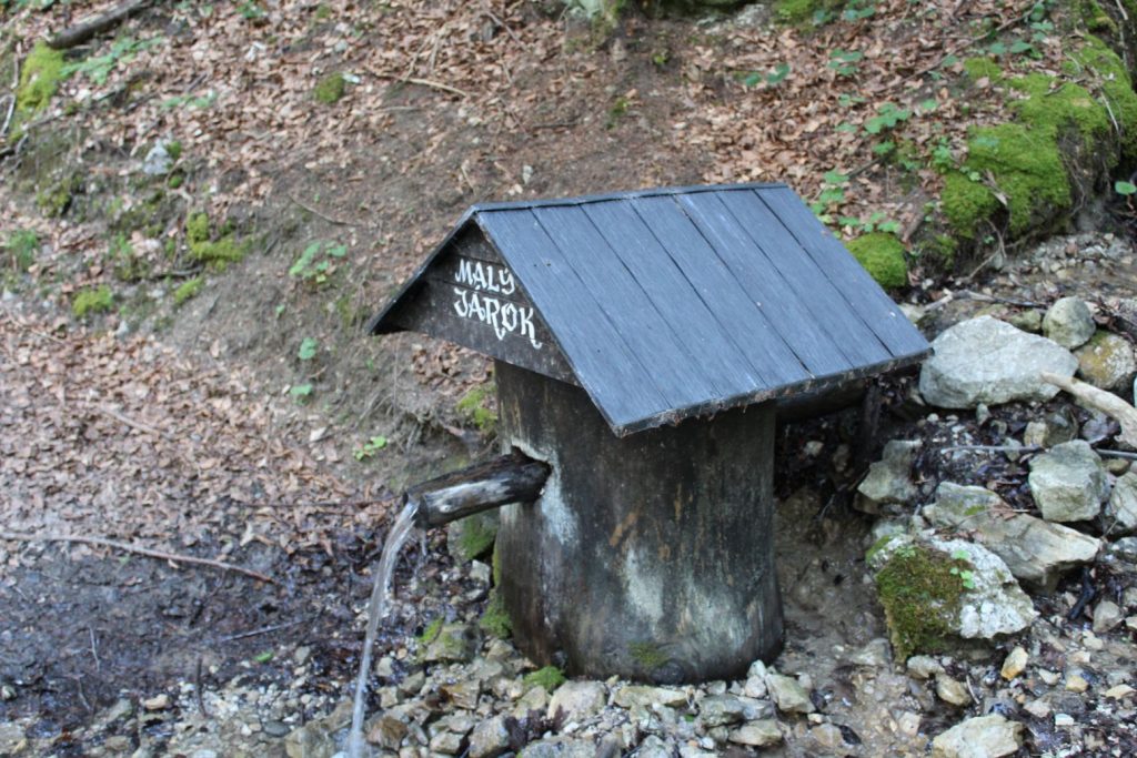 Studnička Malý jarok, Černová 05