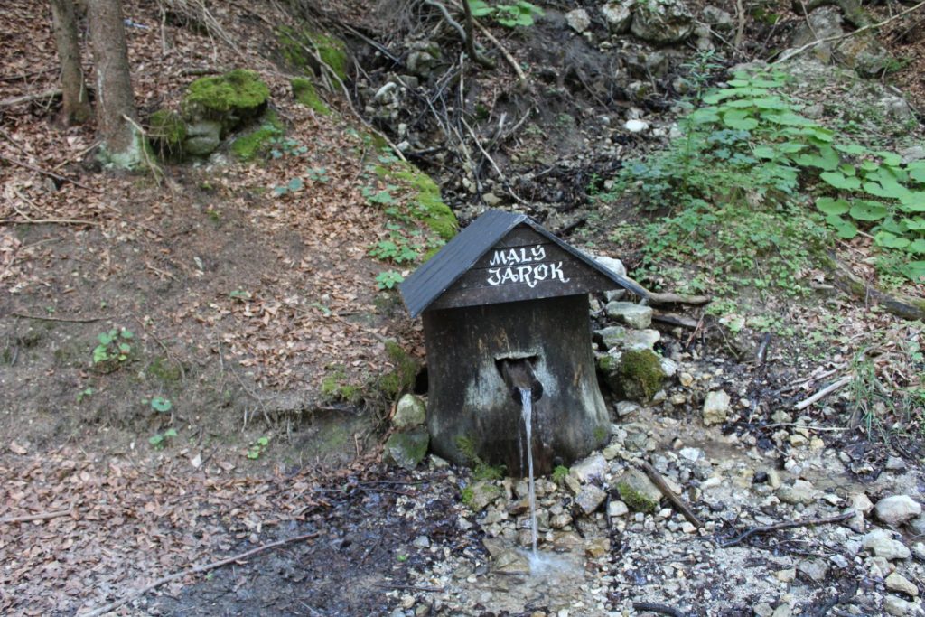 Studnička Malý jarok, Černová 06