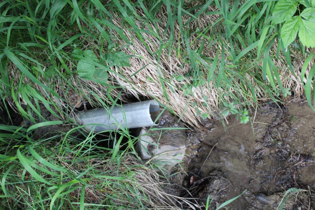 Žliabok pri chodníku pod Kaliskom, Černová 01 Žliabok pri chodníku pod Kaliskom, Černová 01