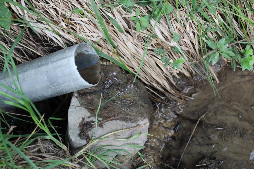 Žliabok pri chodníku pod Kaliskom, Černová 02 Žliabok pri chodníku pod Kaliskom, Černová 02