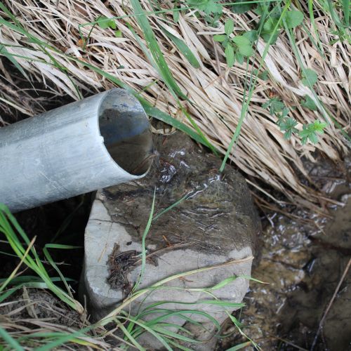 Conduit by a trail below Kalisko, Černová